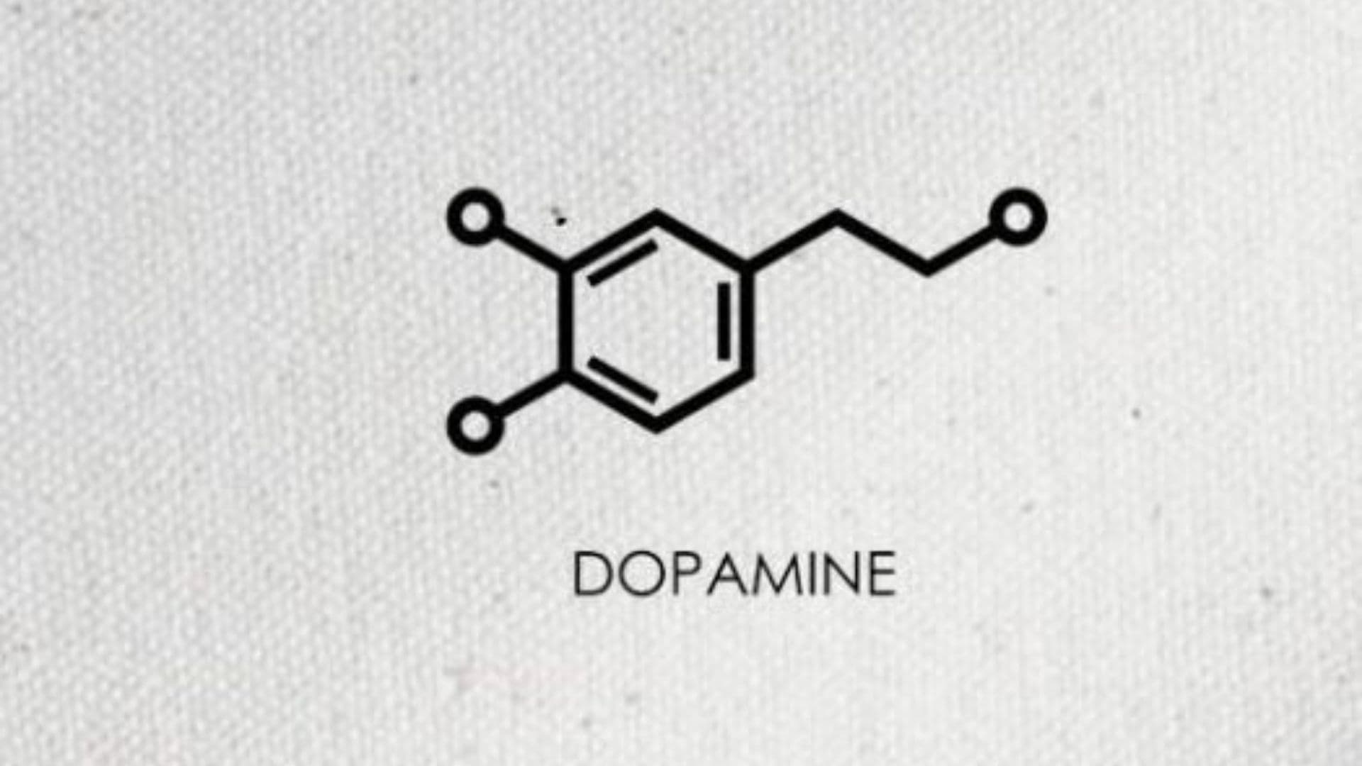 dopamine plays important role in ADHD