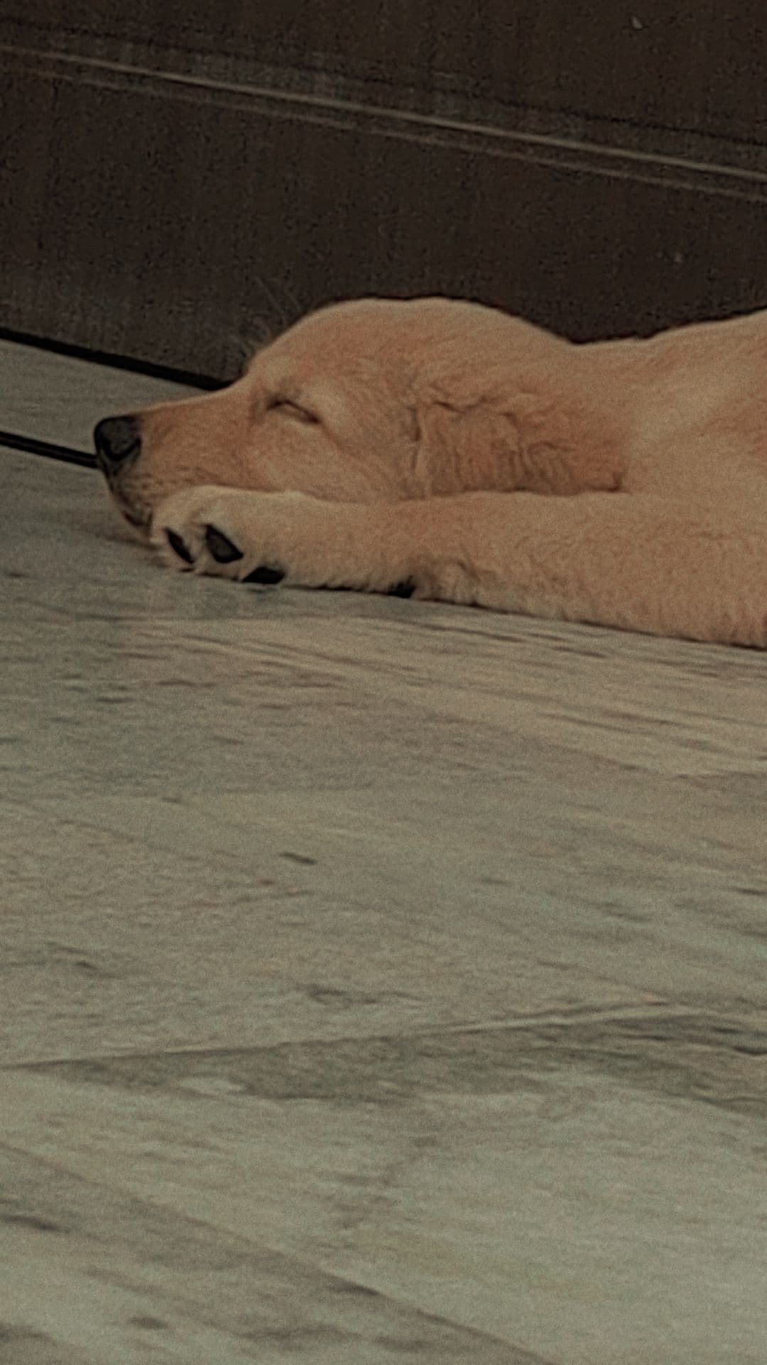 Harry sleeping in a hilarious position